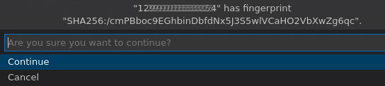 VS Code Accept