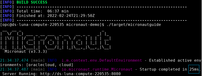 See the time taken to start a Micronaut microservice from a native executable and its file size